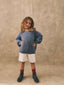 The Denim Short